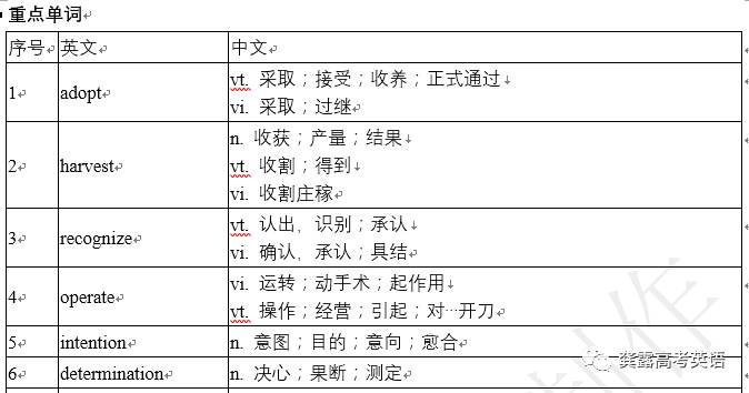 澳门一码一肖一待一中,效率资料解释落实_开发版1