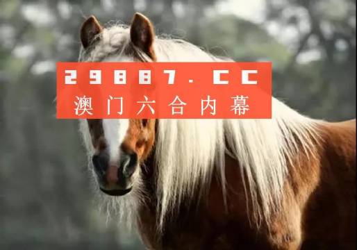 澳门精准一肖一码一必中一肖,最佳精选解释落实_入门版2.362