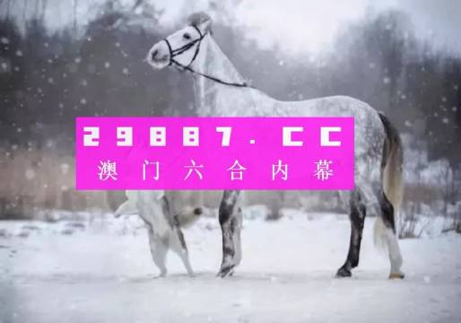 澳门揭秘提升一肖一码,数据资料解释落实_入门版2.928