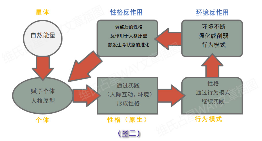 新奥门特免费资料大全今天的图片,完善的执行机制解析_Android258.183