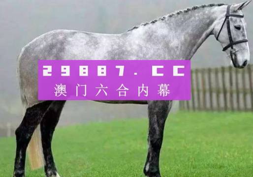 2024澳门特马今期开奖结果,重要性解释落实方法_豪华版180.300