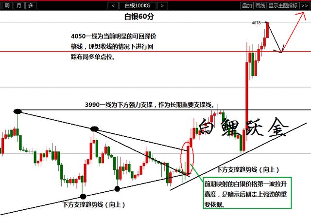 新澳2024年精准正版资料,效率解答解释落实_Deluxe55.804