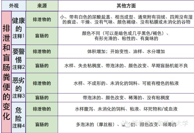 2024新奥历史开奖记录APP,实证解读说明_精装款26.388