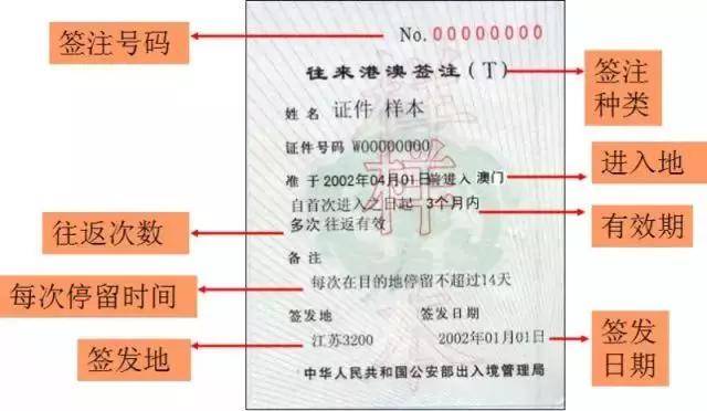 2004年澳门天天开好彩大全,实用性执行策略讲解_交互版72.707