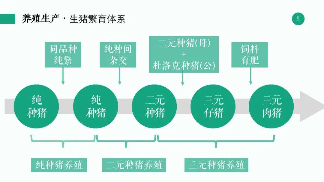 新奥精准资料免费提供630期,实地研究解析说明_安卓版29.874