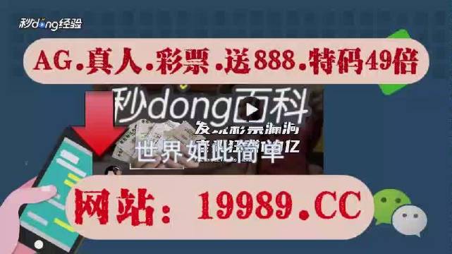 新澳门开奖结果2024开奖记录查询官网,全面解答解释落实_定制版6.22