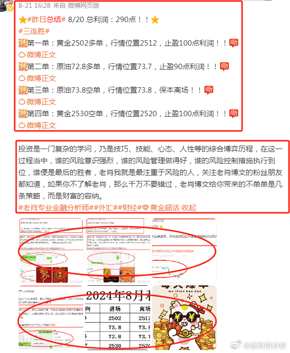 澳门管家婆资料正版大全,准确资料解释落实_入门版2.928