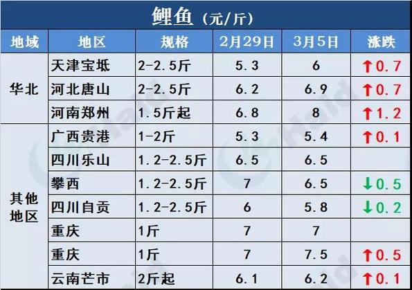 鲤鱼价格行情最新动态解析