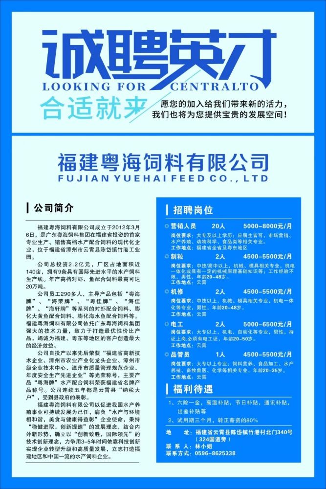 云霄最新招聘动态及其影响力分析