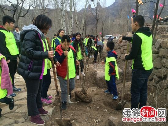 中国电视报最新期深度解读与独特洞察揭秘！