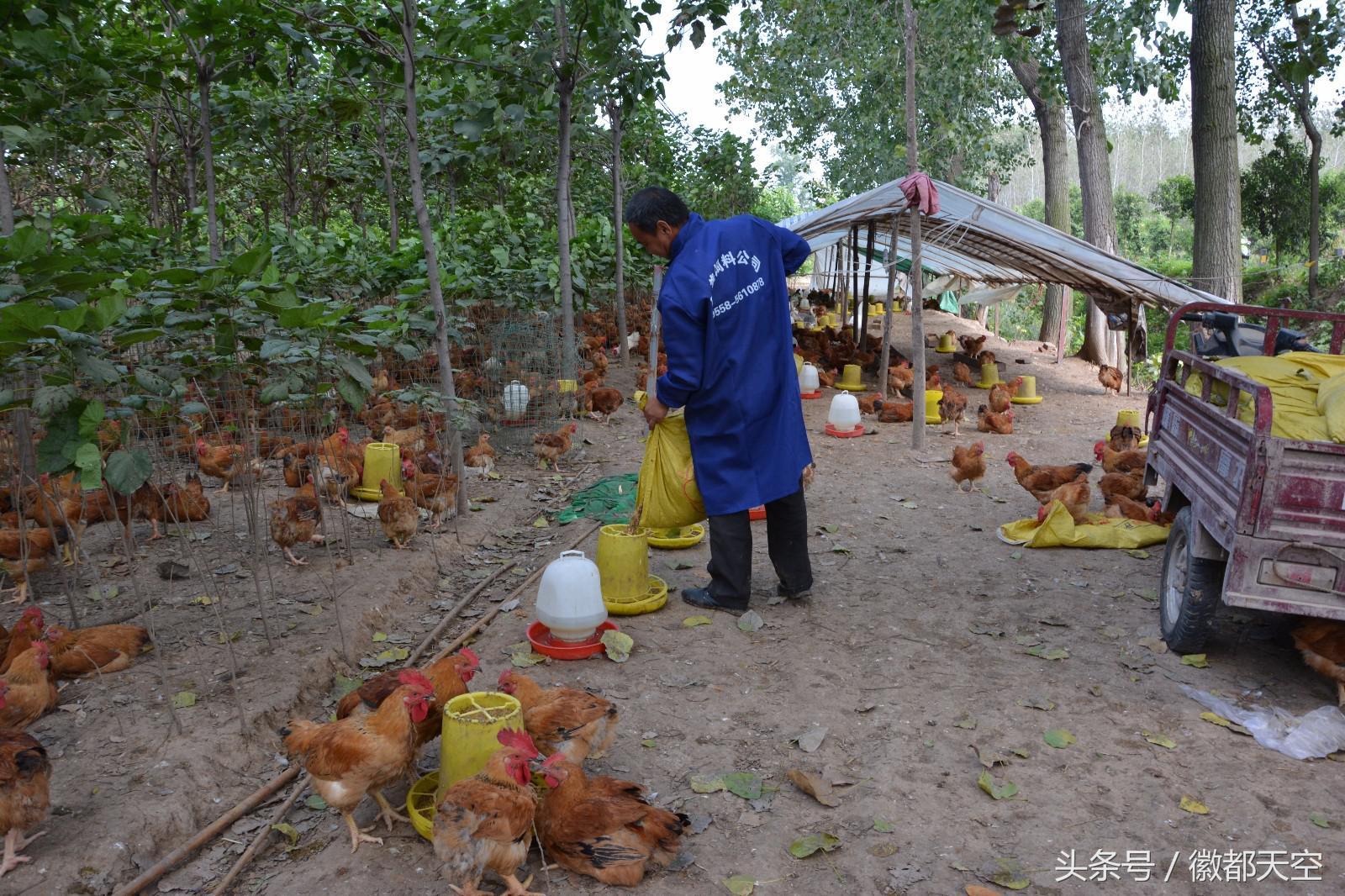 吴桥贴吧车祸事件最新消息引发关注