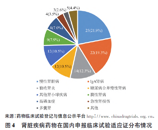 美国肾病最新科研成果，开启肾病领域新篇章的挑战与突破